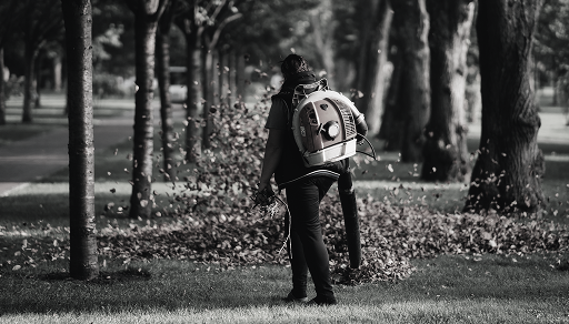 Temizlik & Çevre Düzenleme