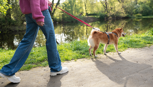 Günlük Yaşam Destekleri